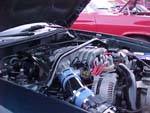 Late Model Mustang 302 V8