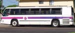 00's Pueblo Transit